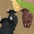 Angry Bull Racing