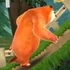 Bears Adventures
