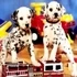 Puppy Pairs Puzzle